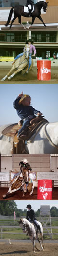 Water treadmill for exercising horses