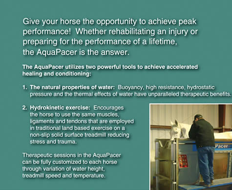 equine rehabilitation